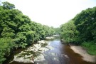 View From Bridge Over River Tees At Low Dinsdale